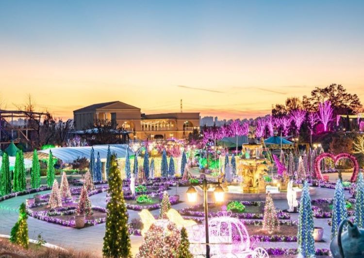 별빛이 흐르는 정원