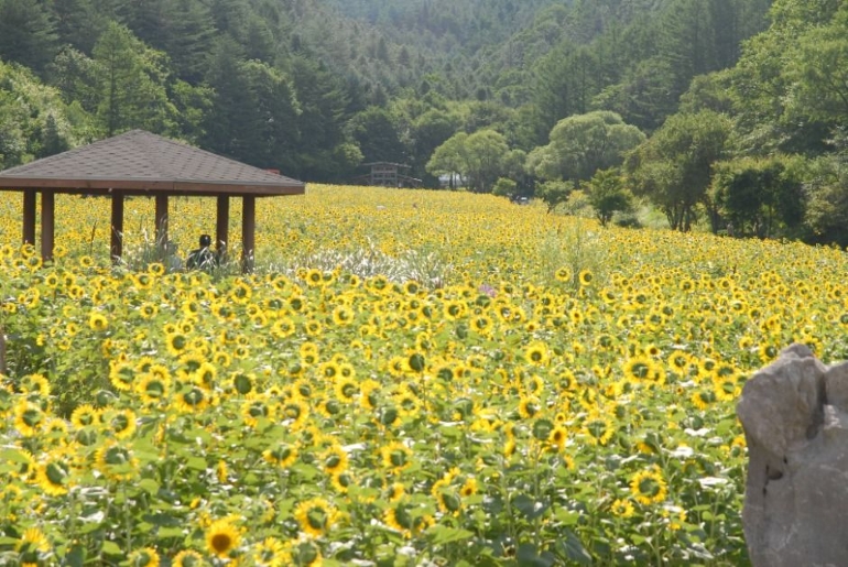 https://source.festivalplus.co.kr/img/2025/05/img_20250529_142752802.jpeg