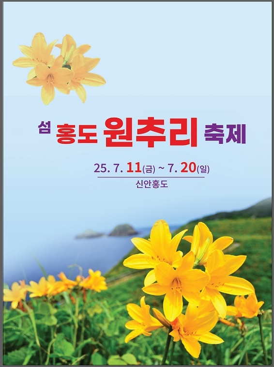 섬 자체가 천연기념물 홍도…여름과 비와 바람, 노란꽃으로 물들다